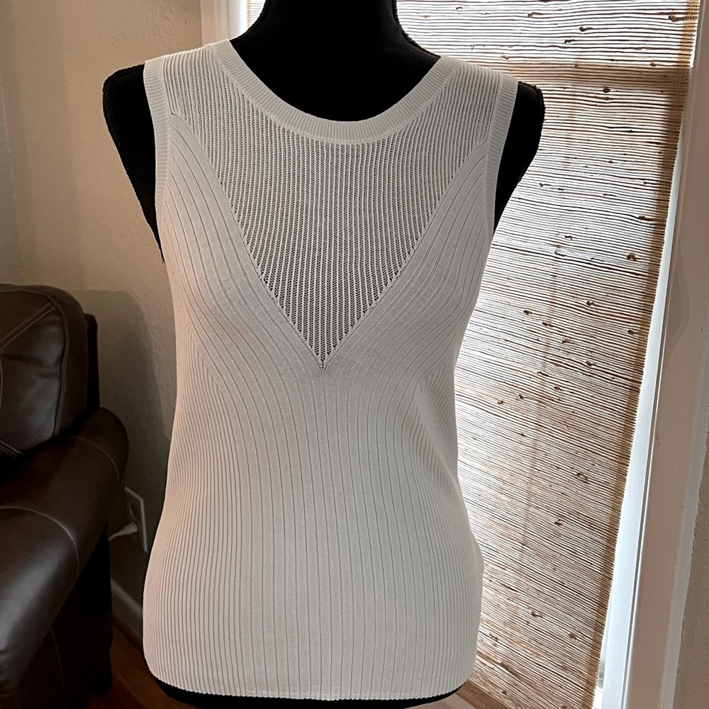 Express Sweater Tank